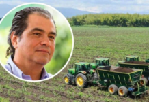 Ingenio Providencia produce el 15 % del azúcar en Colombia