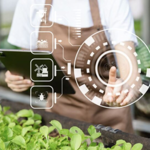 Diplomado en Inteligencia Artificial