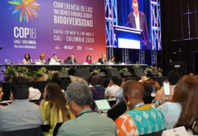 Parlamentarios del mundo lanzan declaratoria para la protección de la biodiversidad en la COP16