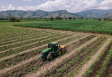 En Cali se realizará el Congreso Mundial de Caña de Azúcar 2025