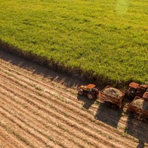 Diplomado en Gerencia de Proyectos