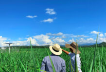 La agroindustria de la caña: motor de progreso, empleo y sostenibilidad en Colombia