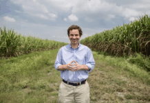 De la Caña al Megavatio: Incauca Redefine su Matriz Energética con Cogeneración a Base de Bagazo