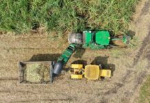 La caña que nos inspira: innovación para la sostenibilidad del sector agroindustrial de la caña de Colombia