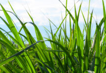 ¿El cambio climático aumenta o variaciones del clima?