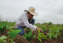 Para visualizar el contenido PREMIUM del portal de Tecnicaña debes ser ASOCIADO