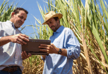 Para visualizar el contenido PREMIUM del portal de Tecnicaña debes ser ASOCIADO