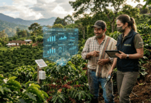 Los agentes de IA desarrollados por Cenicafé que transforman el Agro