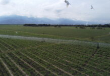 Agroindustria de la caña fortalece acciones para la gestión sostenible del agua ante la posible llegada del fenómeno de El Niño