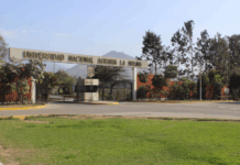 Perú necesita una nueva caña de azúcar para resistir el calor y los eventos extremos
